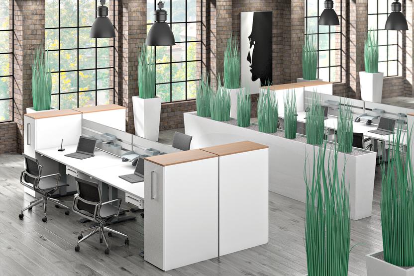 Großraumbürogestaltung Gestaltung eines Großraumbüros mit weiß lackierten Doppelschreibtischen und niedrigen Raumtrennern bepflanzt, Industrieräume